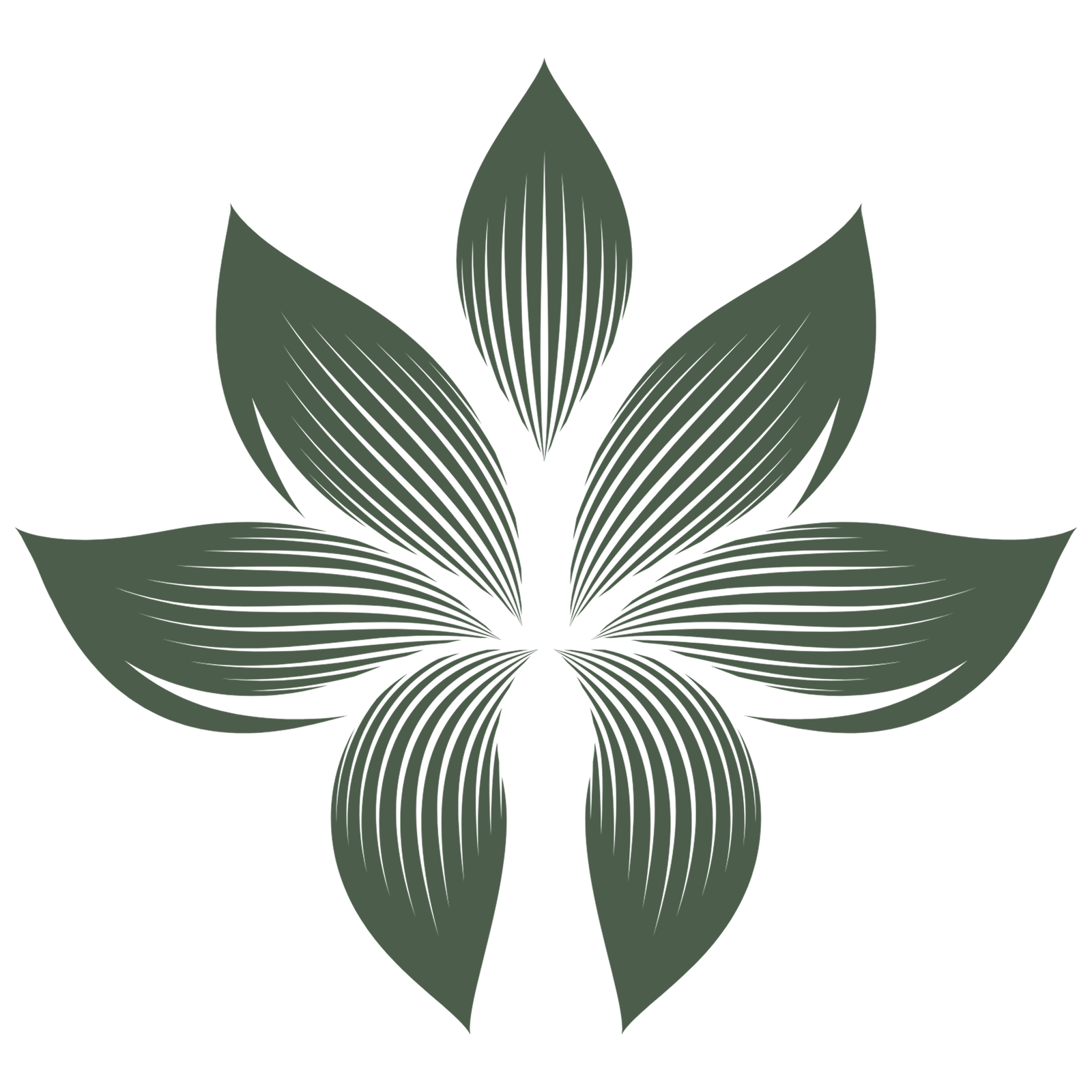 leaf image